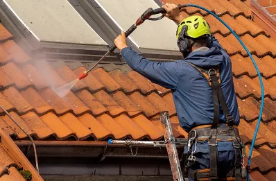 Démoussage et hydrofuge de toiture à Lamarche